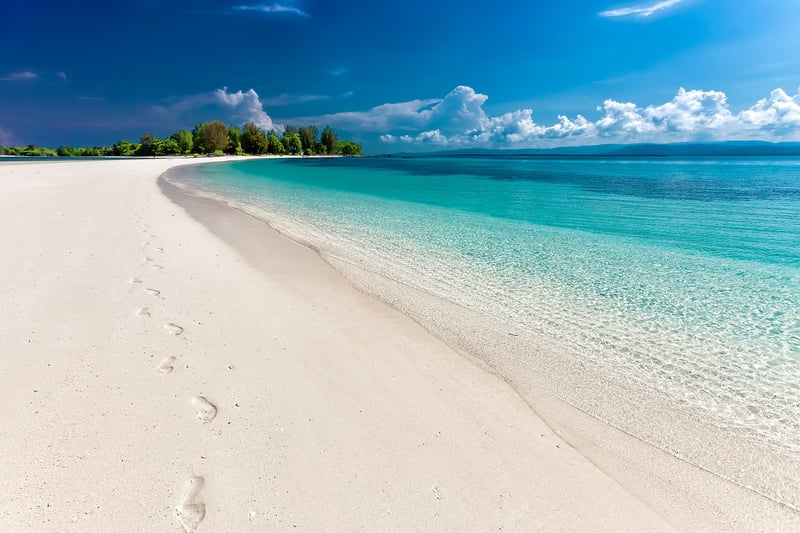 Beach Nature Retreat